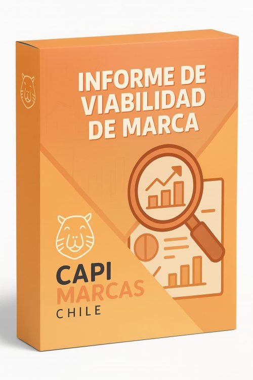 Informe de Viabilidad de Marca